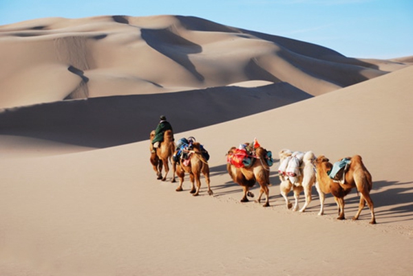 腾格里沙漠探险(含自驾攻略)